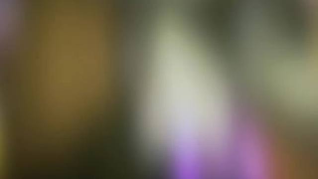 藏身处主楼楼主#codm