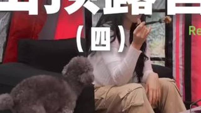 山顶露营（四）山顶风景真好~#露营 #助眠 #解压 #萌宠 #户外露营