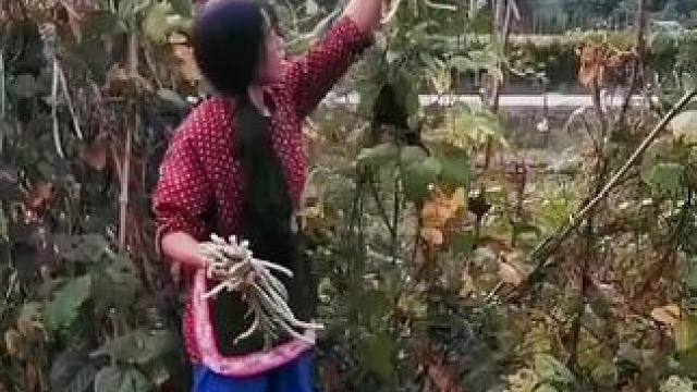 我发布了一个新视频，快来围观吧！