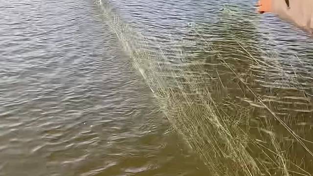 #户外捕鱼 #河边随拍 #捕捞现场  #丝网捕鱼