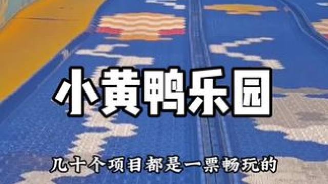 小黄鸭真的好好玩 #六一 #亲子游玩好去处 #亲子互动 #快乐就这么简单 #亲子