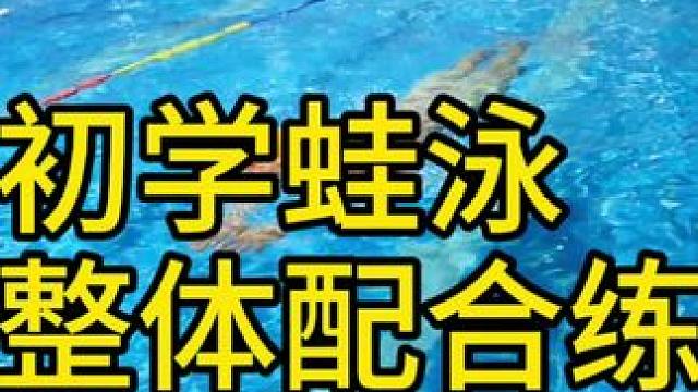 #游泳 初学蛙泳