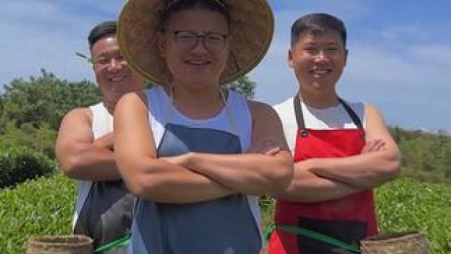 采茶了 #川哥川嫂