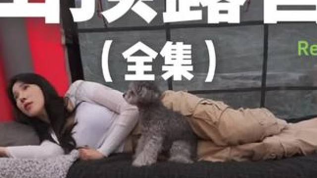 山顶露营（全集）山顶风景真好~#露营 #助眠 #解压 #萌宠 #户外露营