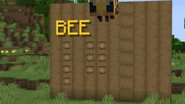 #我的世界 #Minecraft