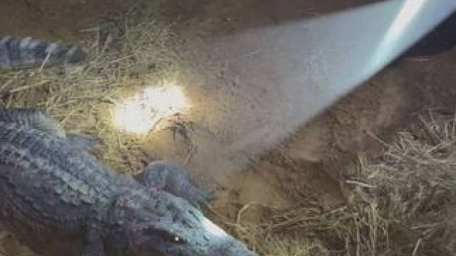 当年的你可能已经消失在脑海里#非专业人士请勿模仿