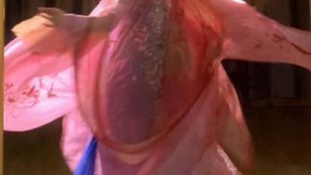 “你看那看那水中花～” #向全世界展示中国舞 #国风合伙人 #花与马