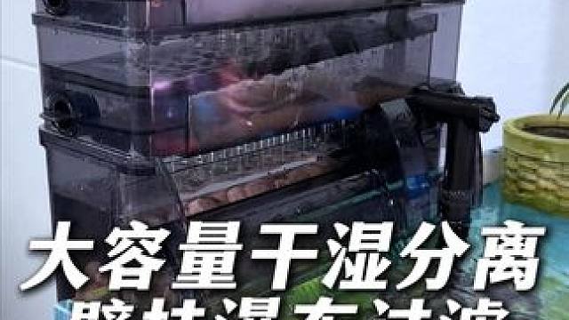 发明这个滴流瀑布过滤器的人真是个天才！ 净水、循环、增氧、培菌、干湿分离，挂鱼缸上就能用。#养鱼日记