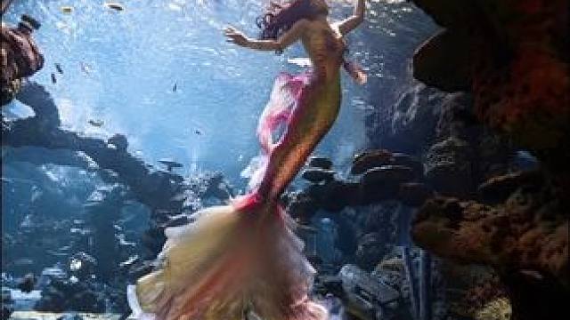 我发布了一个新视频，快来围观吧！