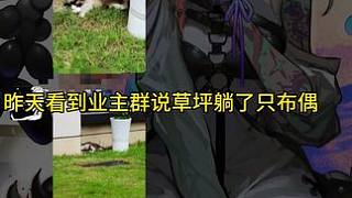 希望小貓下輩子開開心心的吧#貓