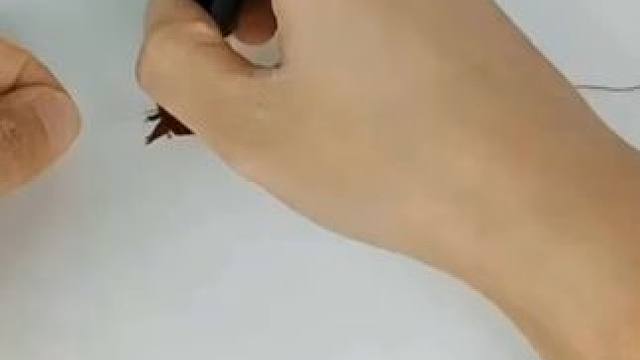 我发布了一个新视频，快来围观吧！