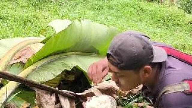 东南亚野菜哥 #我的乡村生活 #野外生活 #乡村美食 #我的日常生活 #原始森林