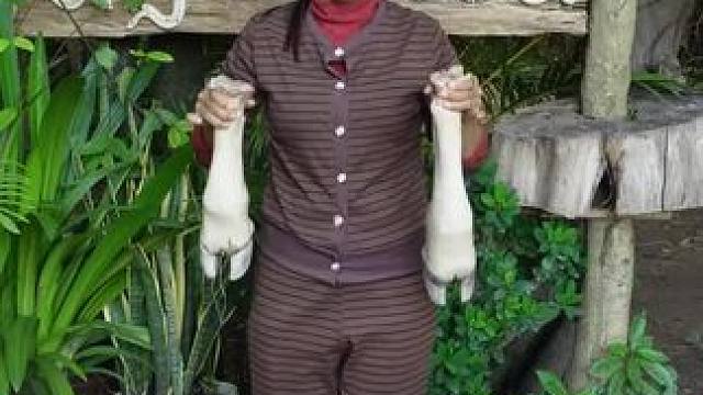 东南亚美食 #农村美食记录生活 #原创视频 #返乡创业青年