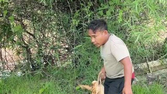 东南亚矮子 #户外美食 #我是吃货 #乡村美食 #东南亚矮子