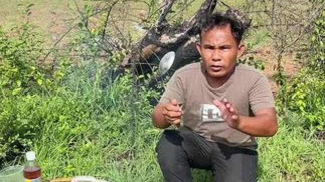 东南亚矮子 #户外美食 #乡村美食 #农产品 #我是吃货