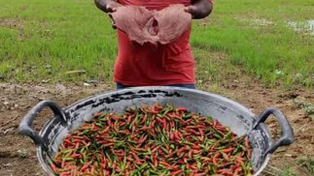 东南亚大叔 #户外美食 #我是吃货 #异国他乡的生活 #分享家乡美食 #东南亚大叔