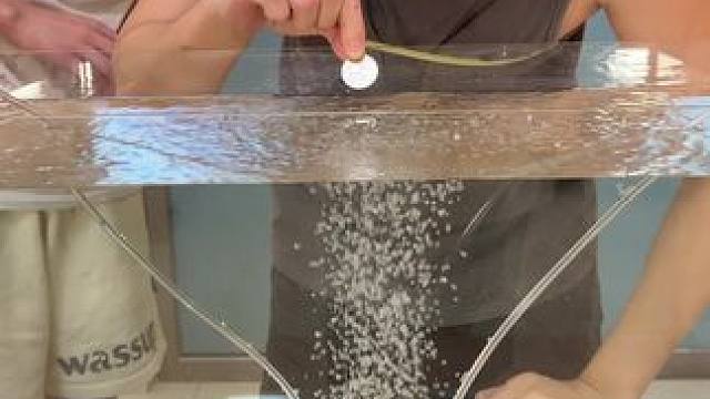 鱼缸投币挑战2#哈哈哈哈哈哈我要笑死了 #日常vlog #搞笑日常 #整活 #管不饿