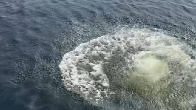 他怕不是有点睡着了。#极限运动  #滑板