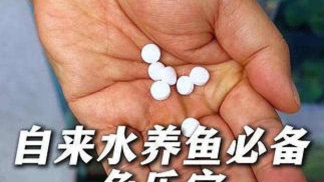 新开缸、频繁换水或习惯用自来水养鱼的鱼友看过来！ 自来水的氯气对鱼儿有刺激作用，用这个鱼乐宝，每10