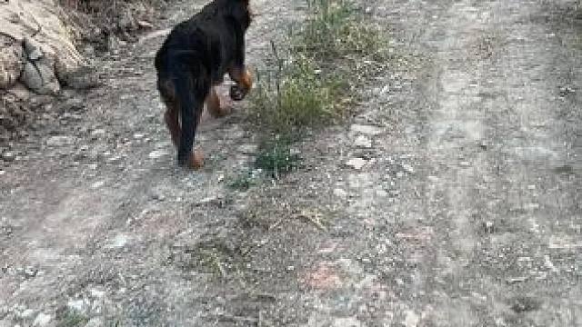 我发布了一个新视频，快来围观吧！