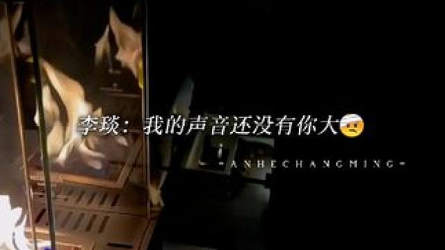 什么时候听到这段才能不笑啊救#暗河长明 #漫播 #广播剧 #凌飞 #钱文青