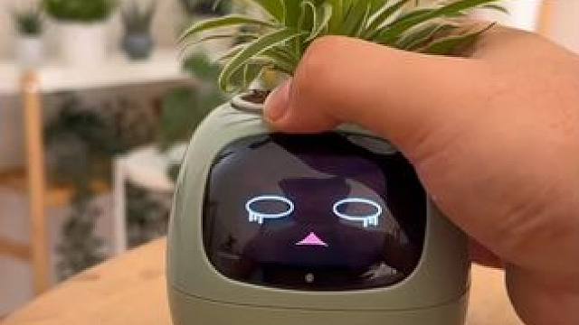植物也会emo了~~ #玩个很新的东西