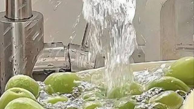 会翻跟头的小海星，这也太可爱啦，我儿子真的好喜欢#海星 #六一儿童节 #儿童节礼物 #派大星