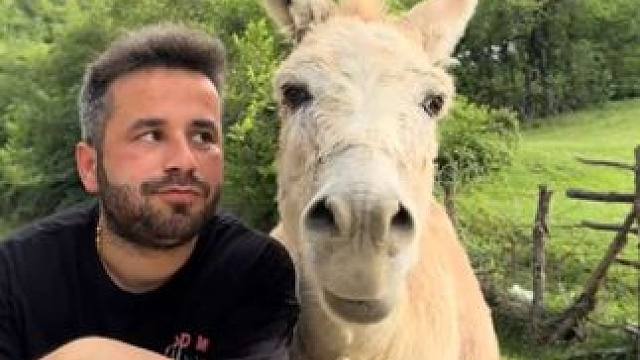 宠物毛驴吃杏子 #国外视频分享 #奇妙的动物 #宠物