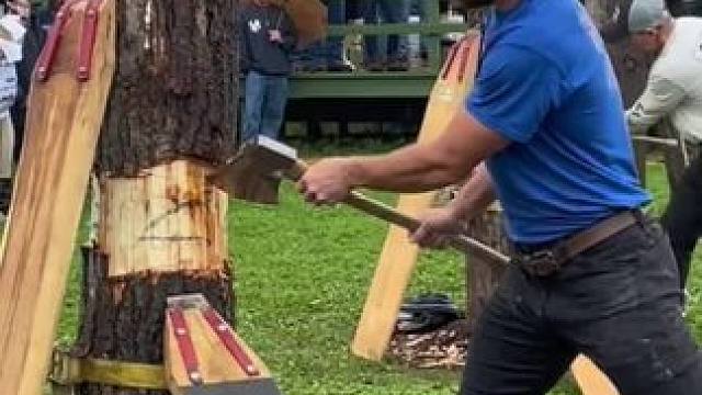美国伐木工的伐木比赛！ #高难度 #绝技 #伐木 #伐木比赛 #解压