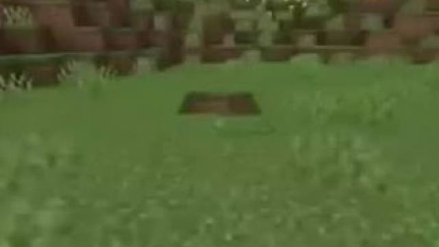 #我的世界 #Minecraft