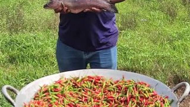 东南亚大叔 #我是吃货 #百吃不厌 #农村户外美食 #东南亚美食#户外野炊