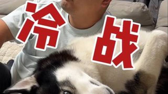 狗狗跟主人冷战，死活不搭理主人，当主人拿出火腿后你们千万别笑 #二哈 #哈士奇 #萌