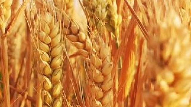 #美丽的城市美丽的风景 ！