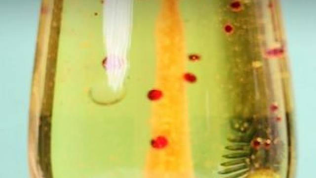 生活中小小的现象都是大大的物理化知识，快给孩子准备一套满满的物理化知识启蒙实验套装吧#科学小实验 #