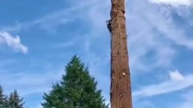 我发布了一个新视频，快来围观吧！