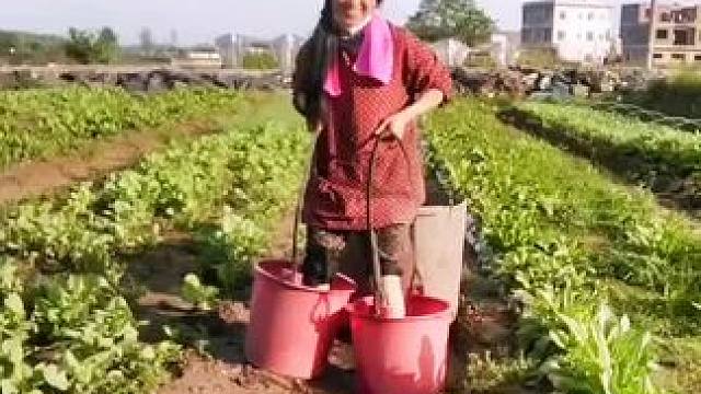 我发布了一个新视频，快来围观吧！