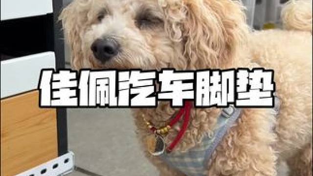 这家360航空软包，不仅可以258做360航空软包！还有19.9抵100的代金券可以自由选择#汽车脚