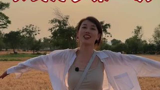 中原熟，天下足！快看，定鼎门天街的麦子熟了！河南种的不仅仅是小麦，是包子，是面包，是面条，是馍馍..