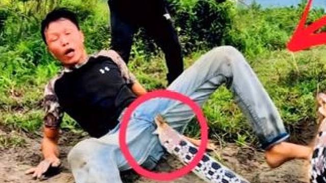 越南两名男子作死，跑到野外挖土洞，最后竟捉到百十条乌梢蛇！ #乌梢蛇 