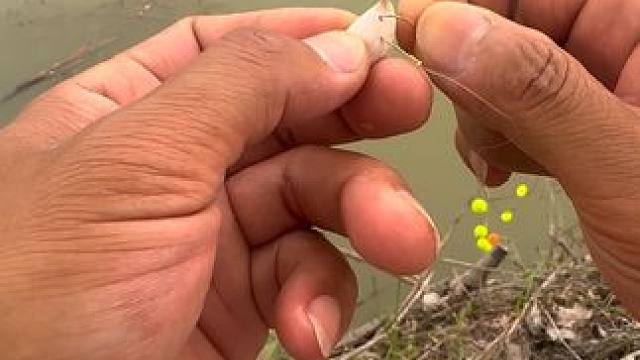 没有不可以钓鱼的！#钓鱼人 #钓鱼