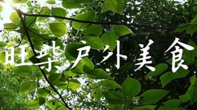 我 旺柴户外美食 回来啦~ 明天晚上7.00我们不见不散~#每个镜头都有它的故事 #意境