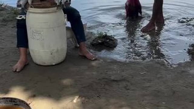 东南亚特色美食 #我的日常生活 #户外钓鱼 #浑水摸鱼 #原创视频 #捕鱼人