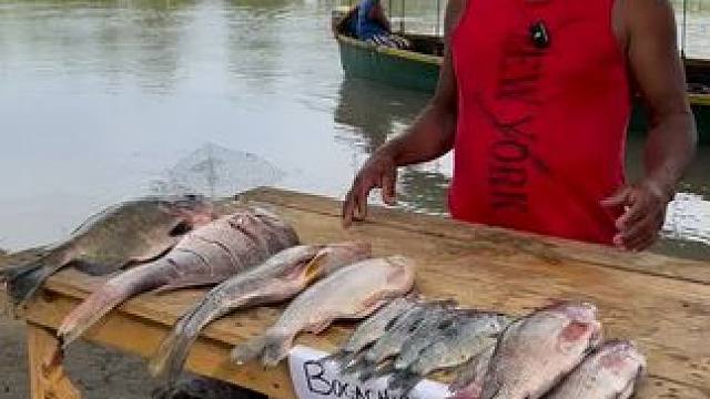 东南亚美食家 #我的乡村生活 #原创视频 #祝大家年年有鱼 #我的日常生活 #浑水摸鱼