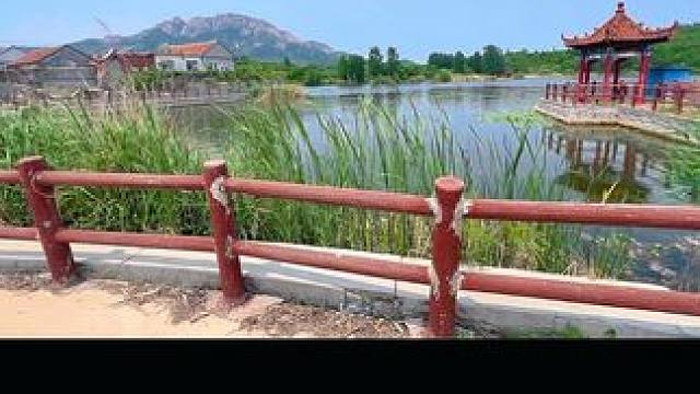 听村里大姨说，朱家的这个荷花池塘还有一个来月就开了～ #青山绿水 #荷花池畔