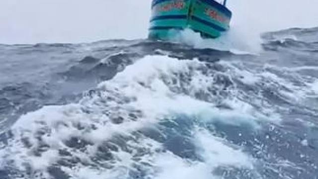 是什么让船长这么激动？ #南极磷虾 #磷虾