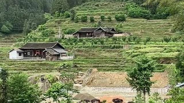 等我老了，我就归隐山林，远离都市繁华，依山造一座房子，房前种菜种花，房后养些鸡鸭，天天都和心爱的人在