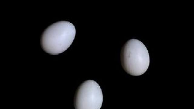 鸡蛋创意美照试试这样拍，简单高级又唯美。#手机摄影 #拍摄技巧 #创意 #视觉艺术 #原创视频