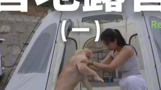营地露营（一）#露营 #助眠 #解压 #萌宠 #户外露营