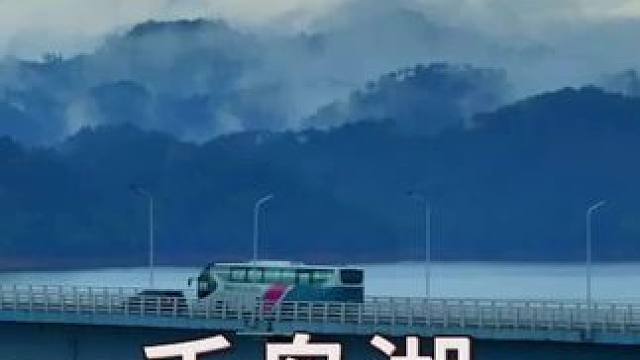 沉浸式入住千岛湖伯瑞特度假酒店，7座岛屿3个观景台自有游艇小动物#千岛湖伯瑞特度假酒店 #莫云游世界