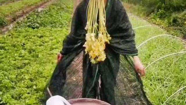 我发布了一个新视频，快来围观吧！